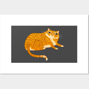 Orange Tabby Cat Posters and Art